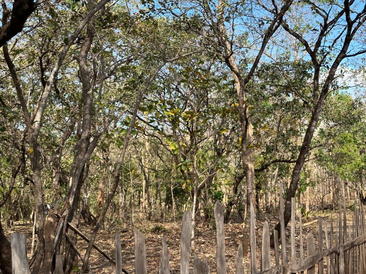 Finca Avellanas Lorena Exteriör bild