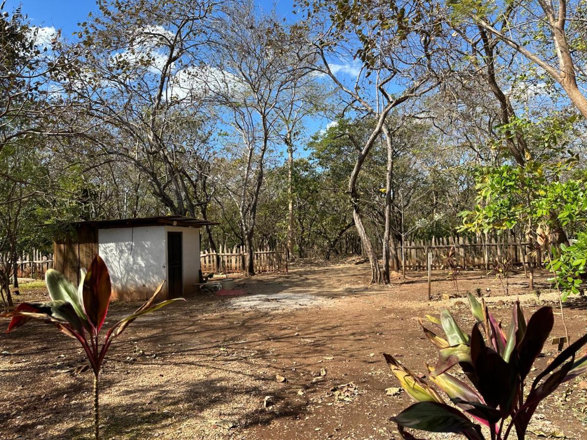Finca Avellanas Lorena Exteriör bild
