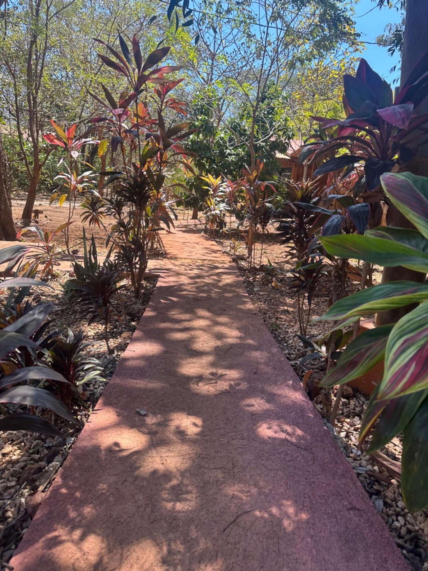 Finca Avellanas Lorena Exteriör bild