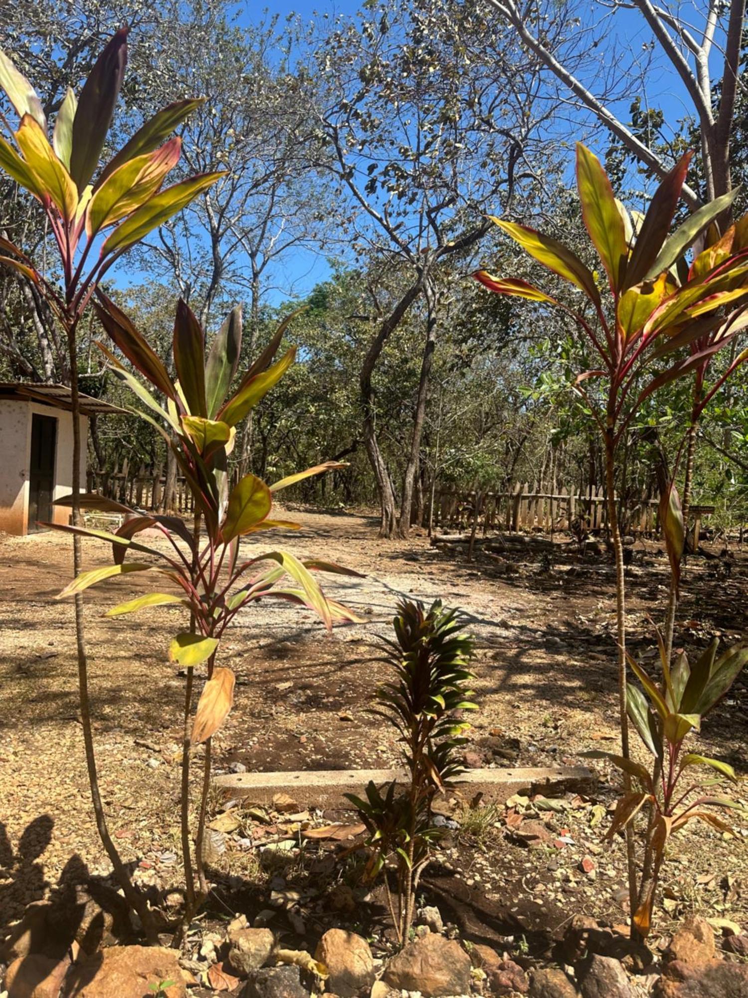 Finca Avellanas Lorena Exteriör bild