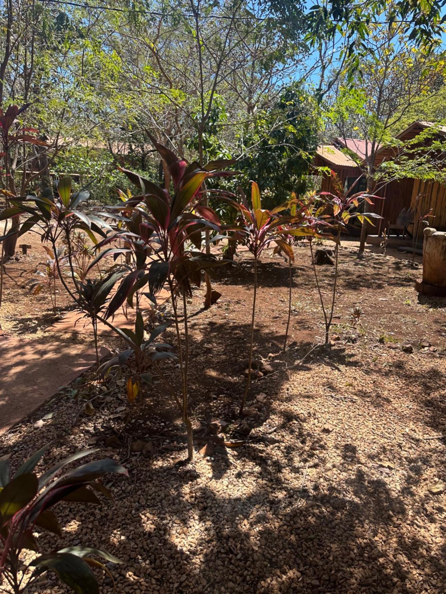 Finca Avellanas Lorena Exteriör bild